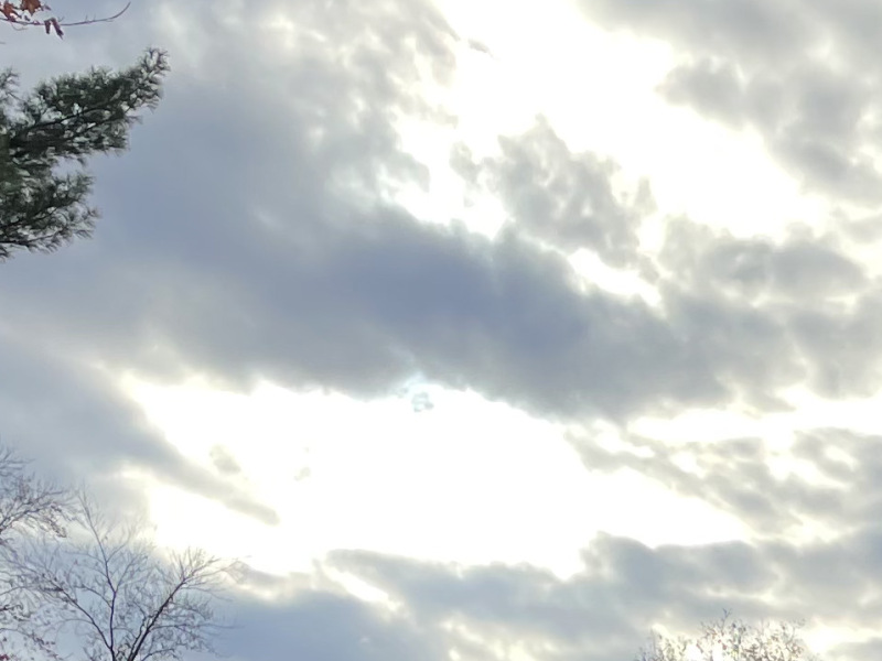 Adult dental examination at Dental Sedation Ottawa